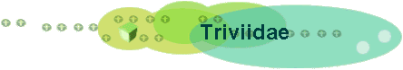 Triviidae